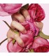عطر زنانه فلاور کنزو پاپی بوکت Flower by Kenzo Poppy Bouquet 100 ml